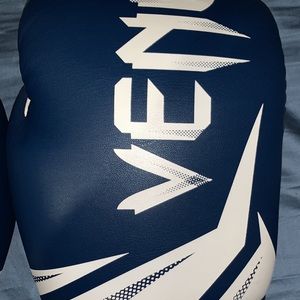 BWT Venum Boxing Gloves
